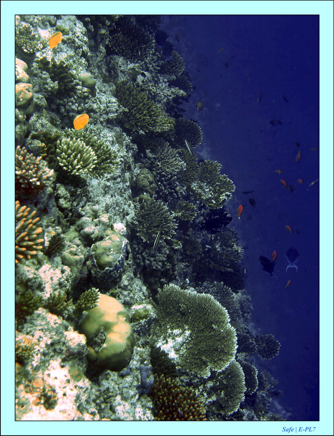 2023 - 07 - Sandies Bathala - 222